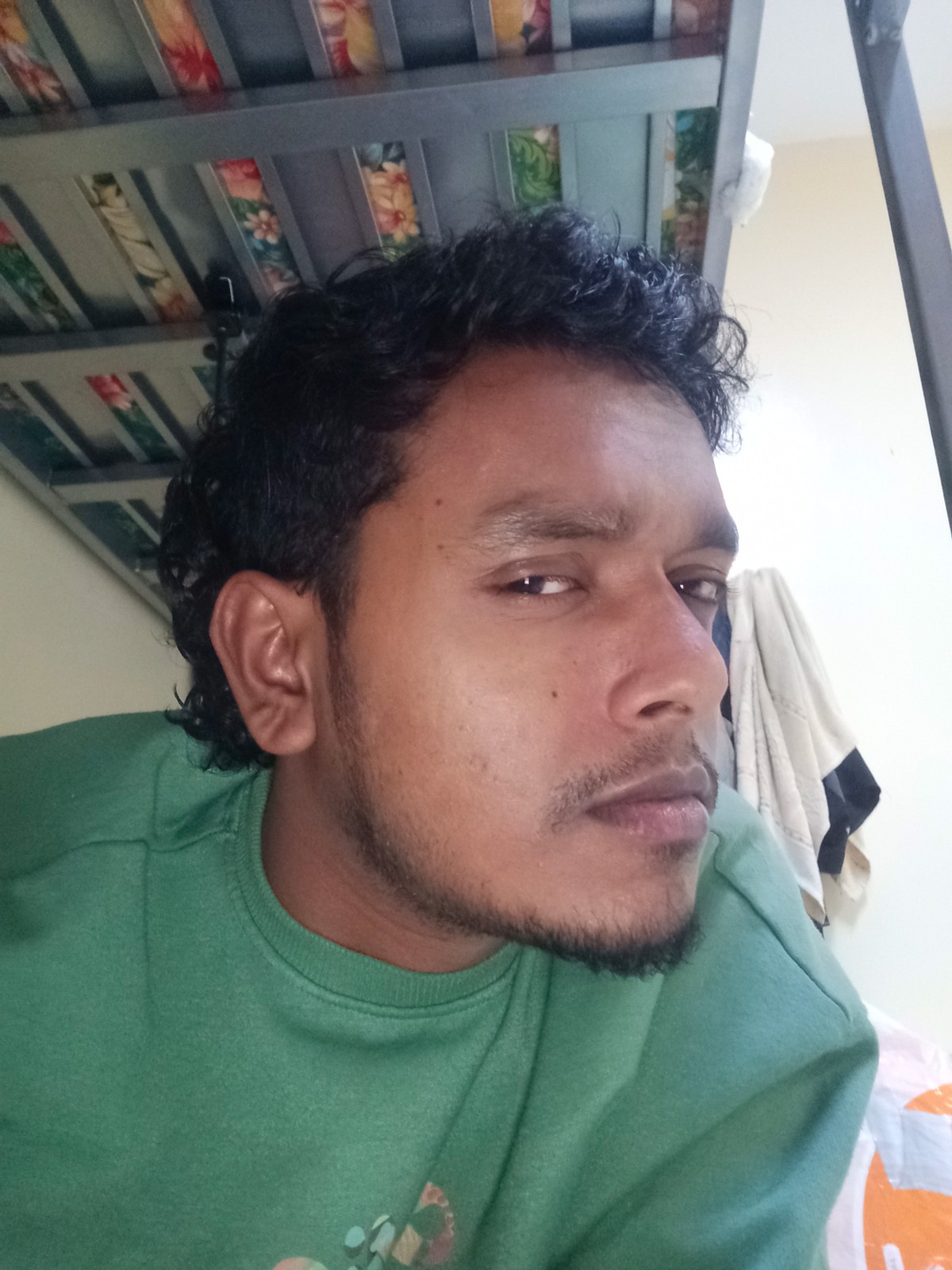 VENISH A. — Left profile