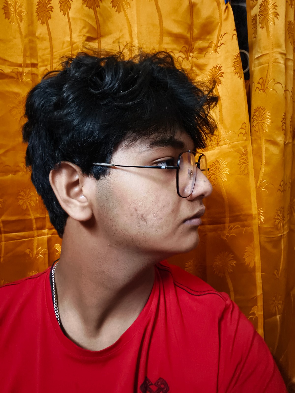 ARKOJIT S. — Right profile